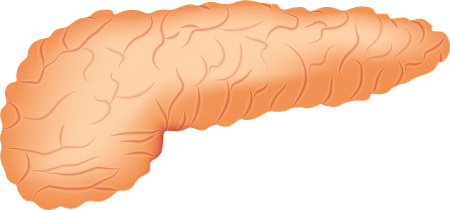 Ecoendoscopia y detección cáncer de páncreas