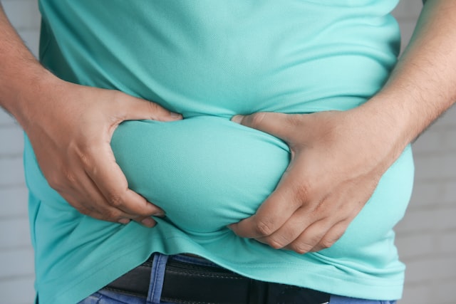 10 factores que influyen en la obesidad