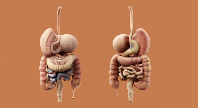 ecoendoscopia